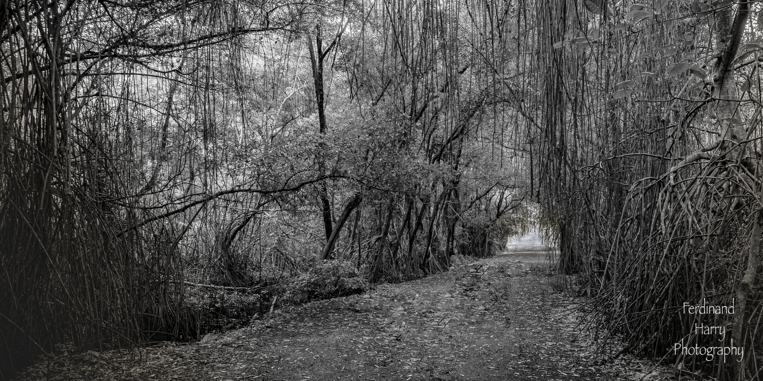 Walk Out of Your Storm
